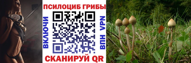 Галлюциногенные грибы мухоморы  Шлиссельбург 